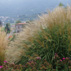 Vedi dettaglio