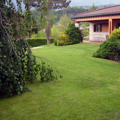 Vedi dettaglio